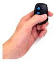 CONTROLE PECCININ PRETO
